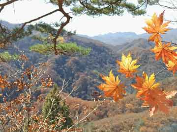 篮球右手进攻连招技巧(篮球右手进攻连招技巧口诀)